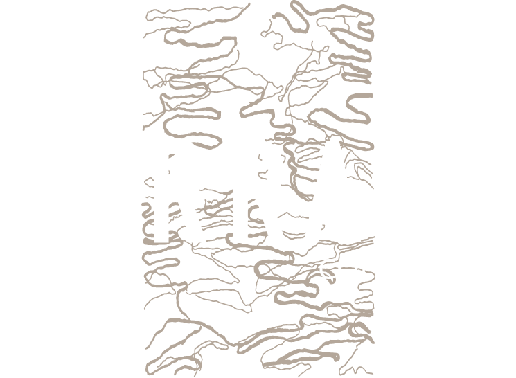 The Terrace Collection